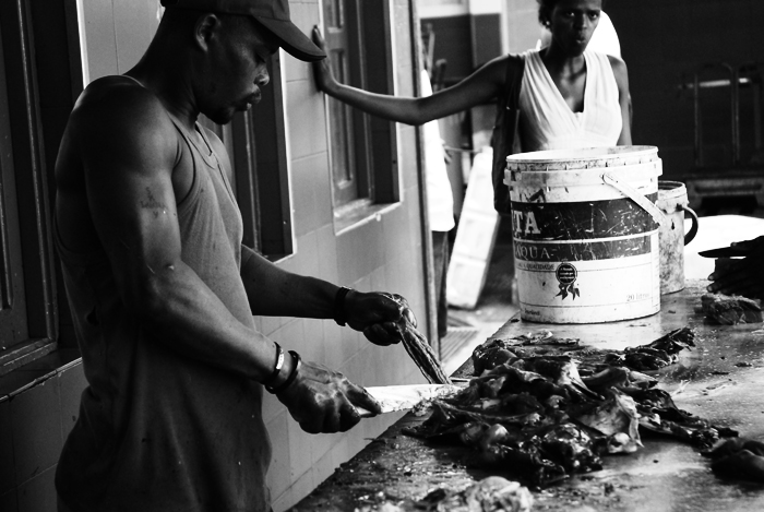 Mercato del pesce (7)