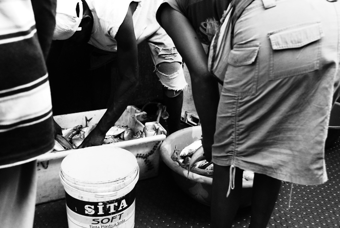 Mercato del pesce (8)