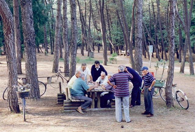 Pinarella di Cervia - pineta