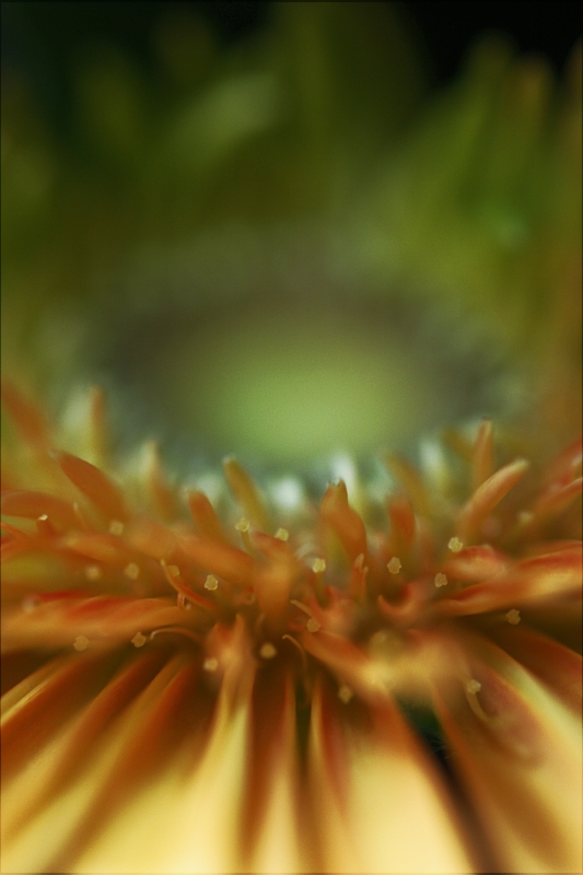 Vista Dall'Ultimo Anello Dello Stadio