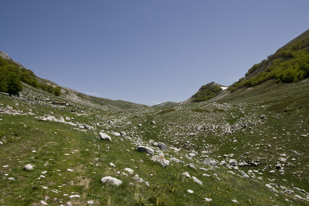 panorama