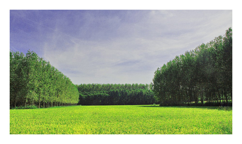 Geometria di campagna