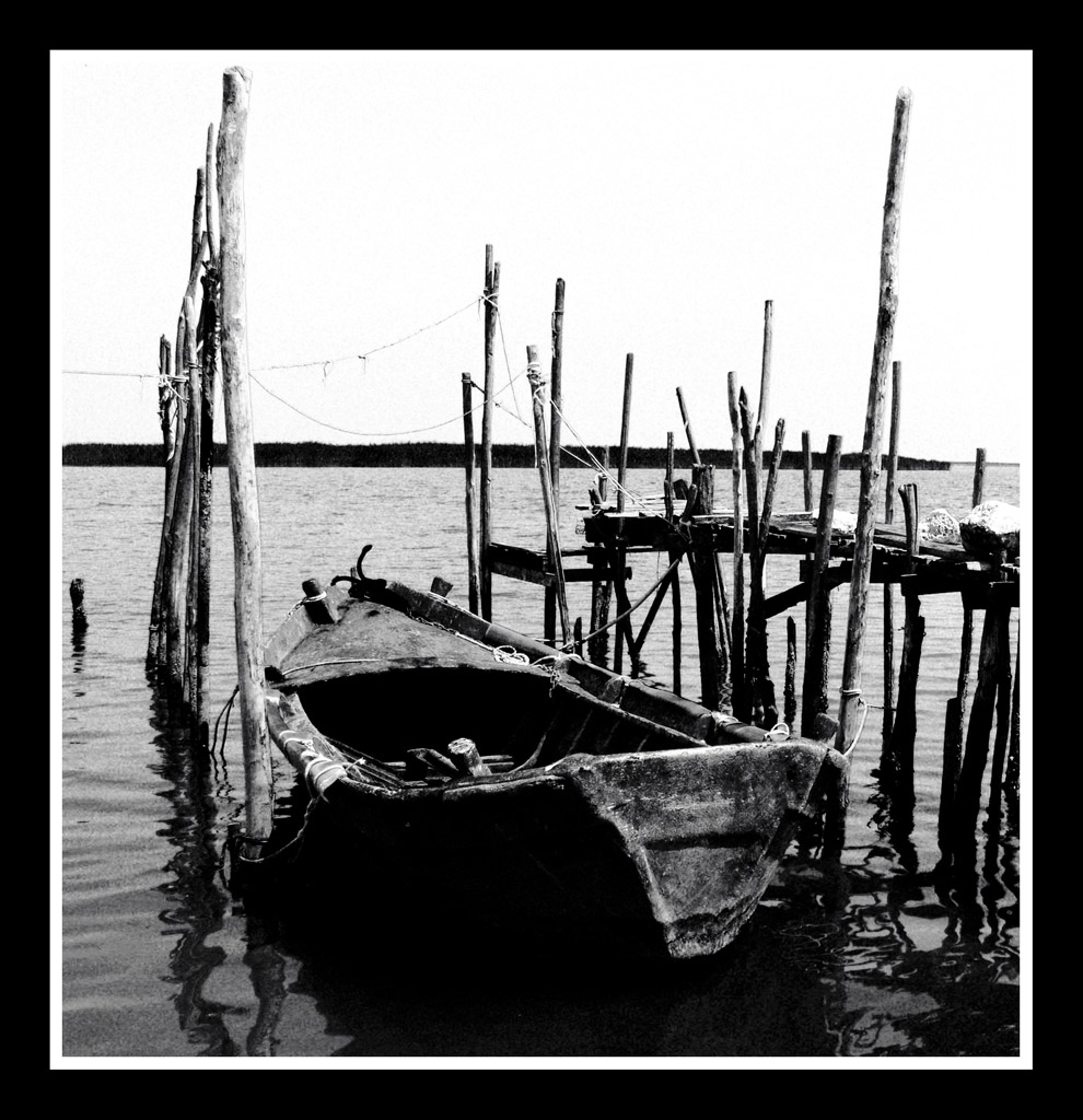 Valli di Comacchio. La vecchia stanca......
