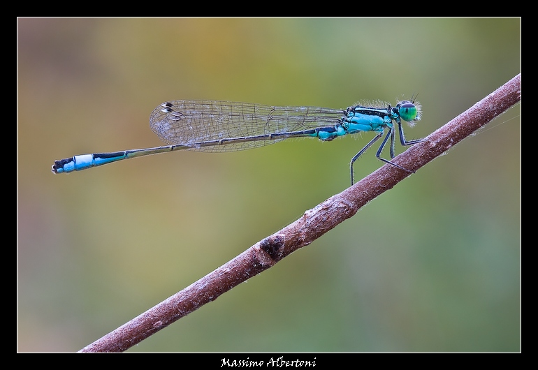 Finalmente arriva un p� di sole!