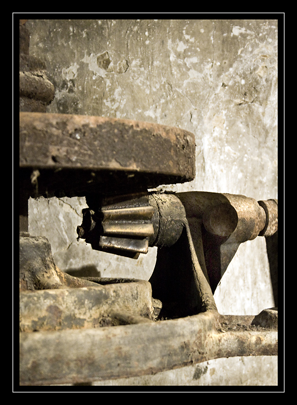 Olena - Torchio antico - Particolare