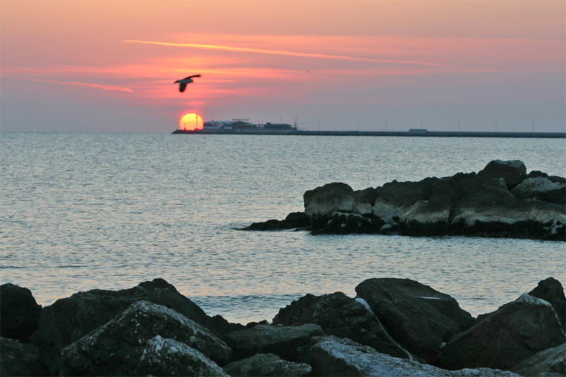 alba: rimini
