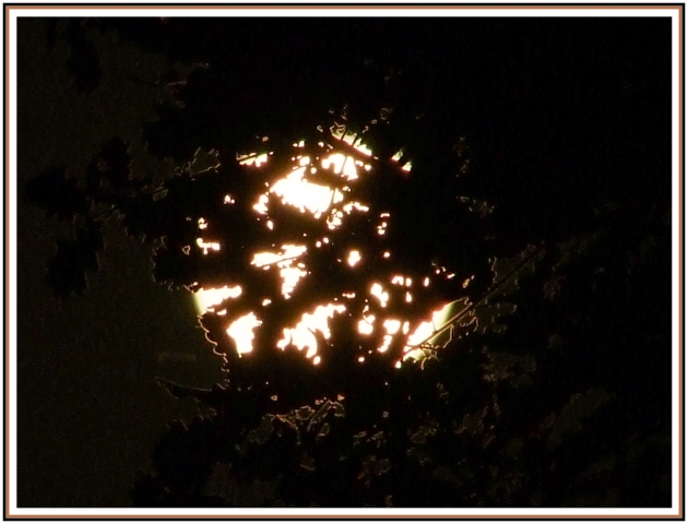 La Luna oltre la quercia