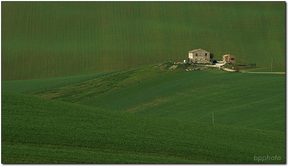 ...immersa nel verde...