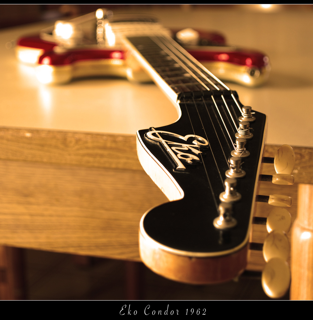 Eko Condor