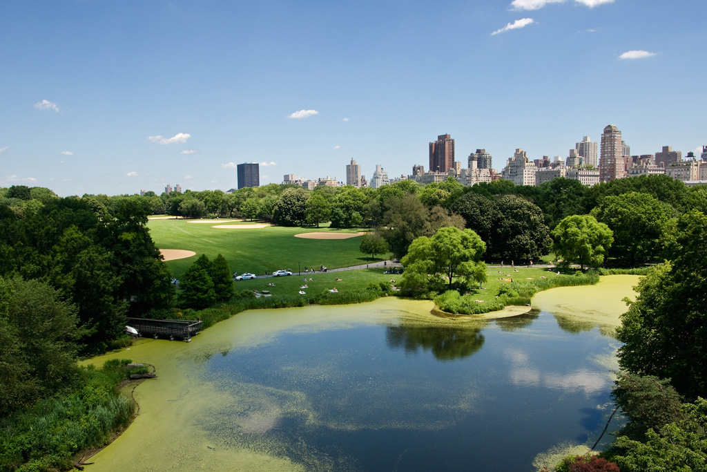 Il centro di Central Park