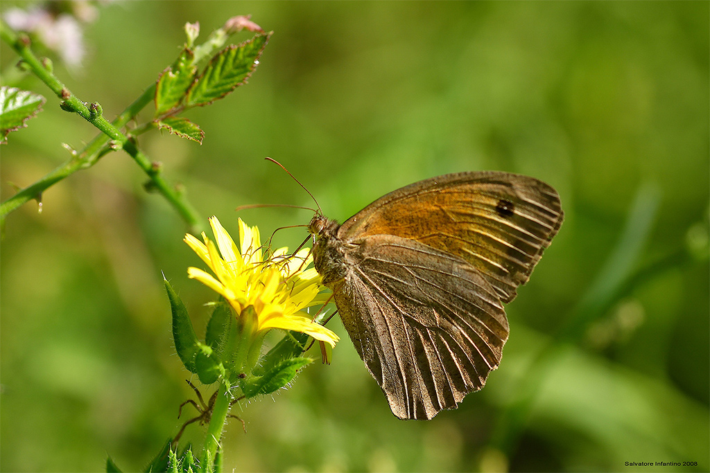 Al sole,ad asciugare!