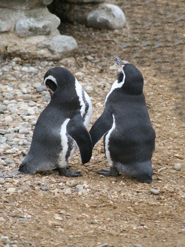 "Come with me I'll show you the way"