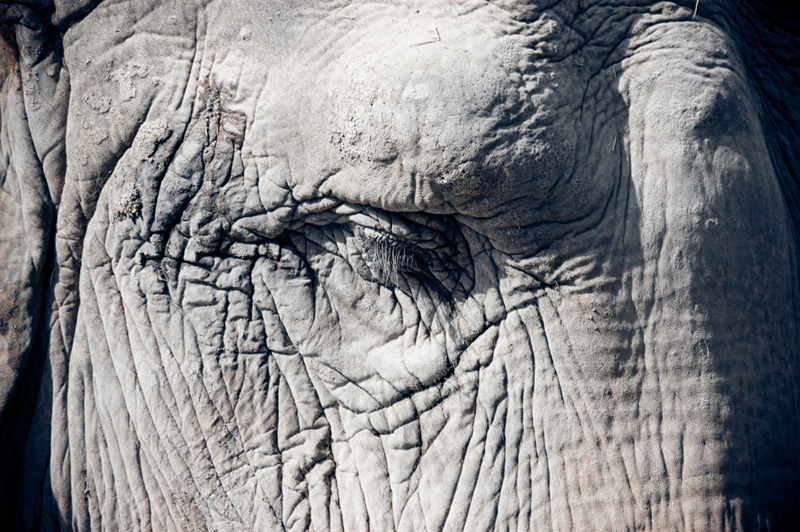 l'occhio della memoria