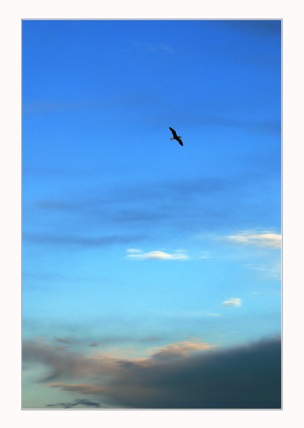 ...Armonia nel cielo...