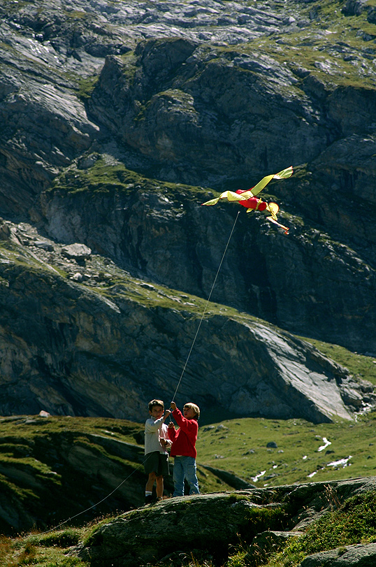 Compagni di piccoli voli