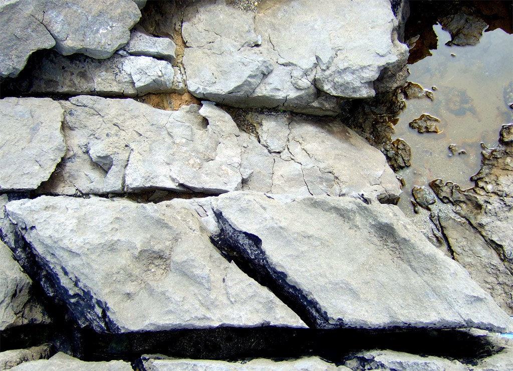 lito-parallelogrammi