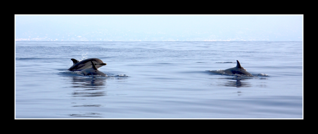 un incontro straordinario