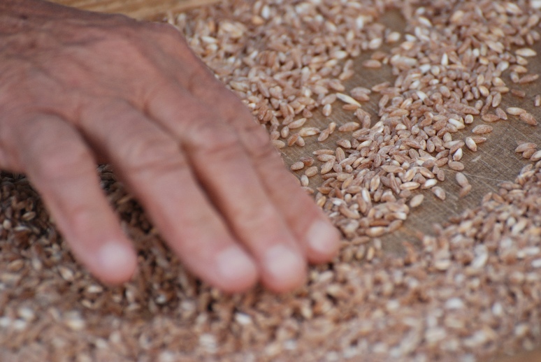 ..i solchi della vita..