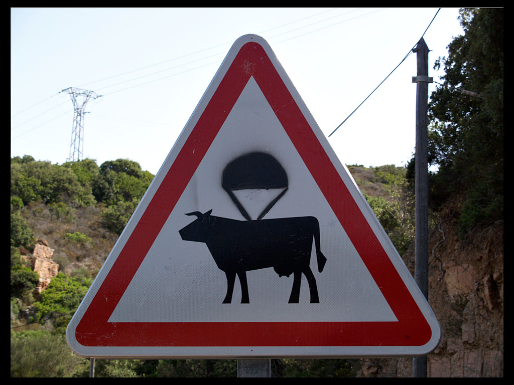 Attenzione alle mucche volanti!i