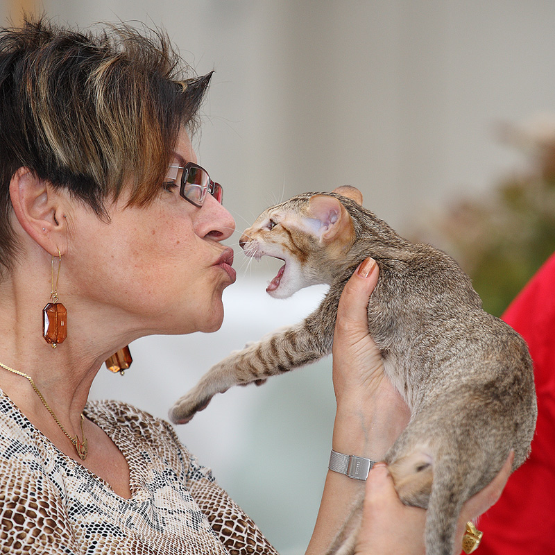 Non ti voglio baciare !!!