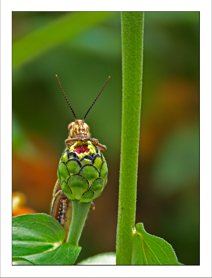 ..mi appoggio un' attimo