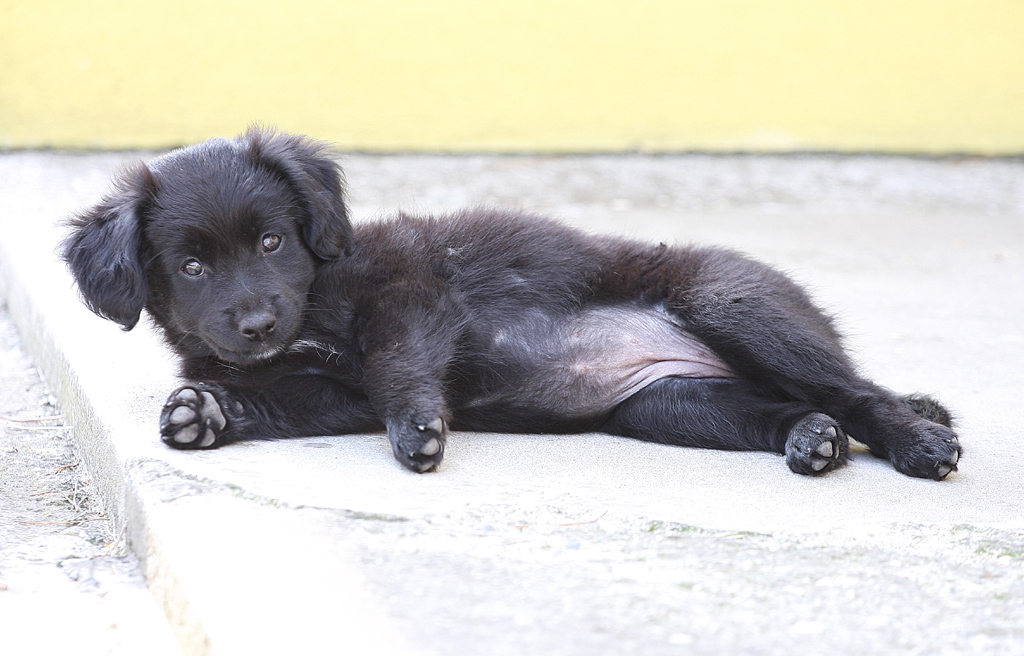 Guardami che fika che sono