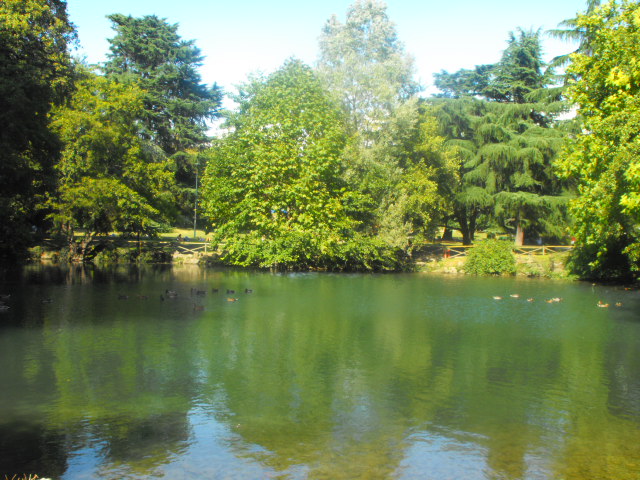 laghetto parco venezia