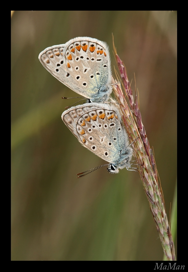 Come dobbiamo stare...