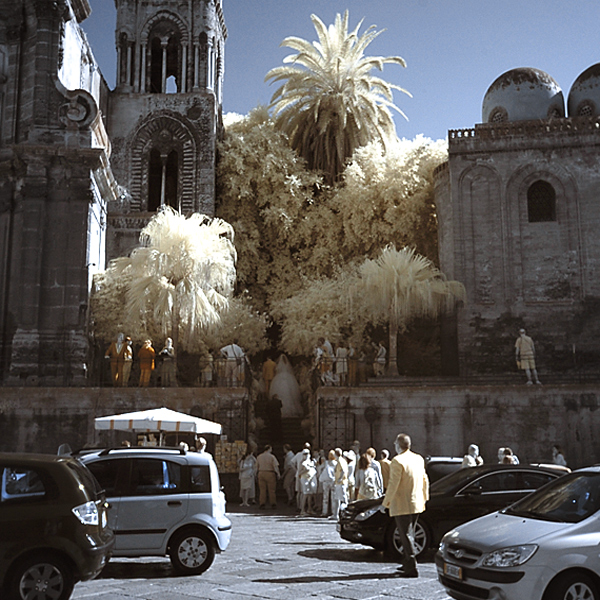 Palermo, scene di un matrimonio
