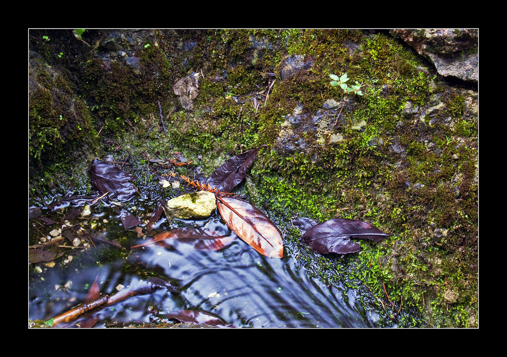 I Momenti di una Cascata