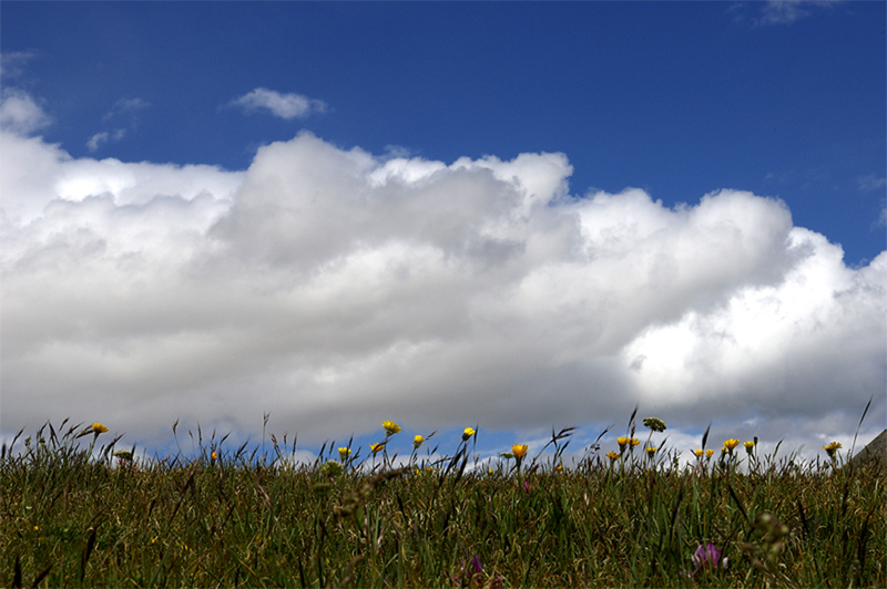 cielo e terra