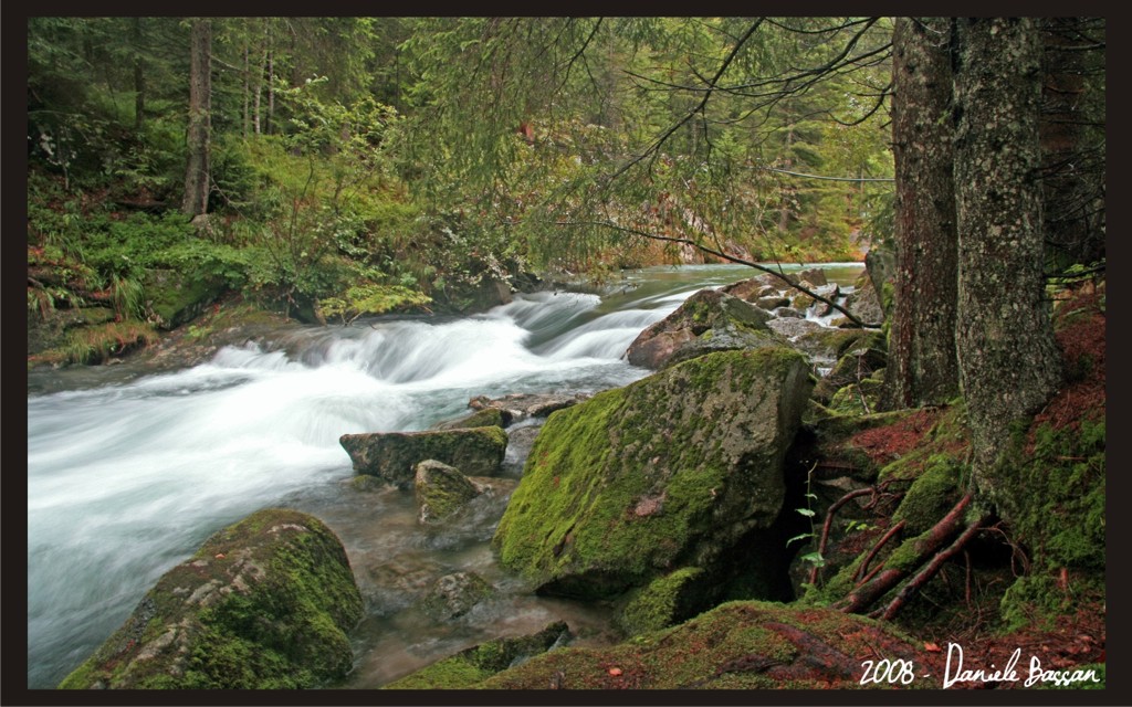 Sarca di Nambrone (Trentino 100%)