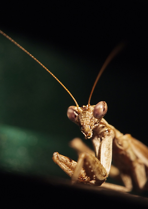 Fai solo un altro passo e ....