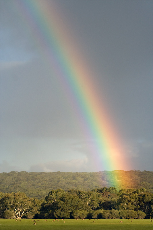 Kangaroo Island - Australia