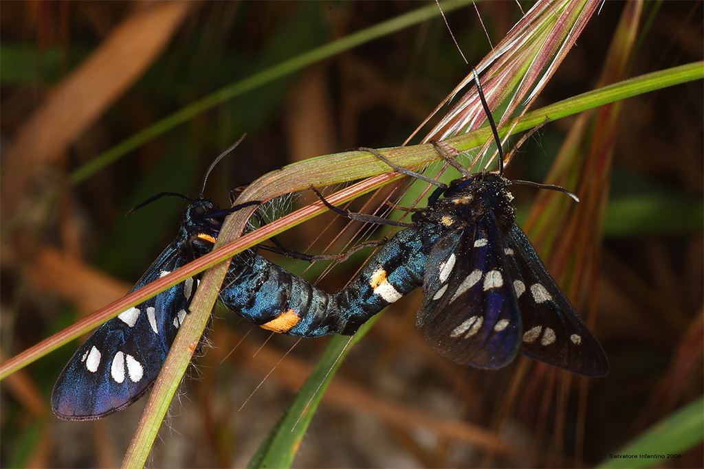 Amore in equilibrio!!!