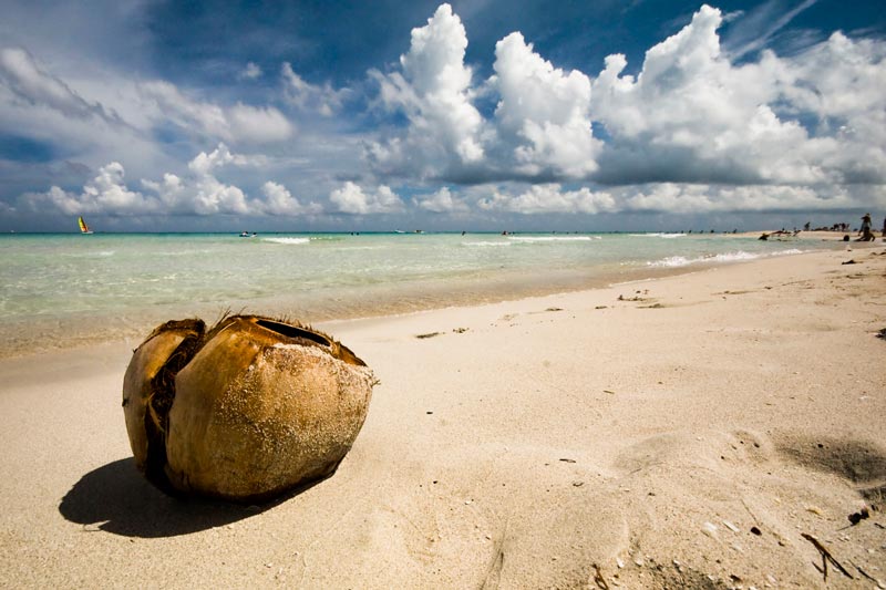 in queste giornate fredde...