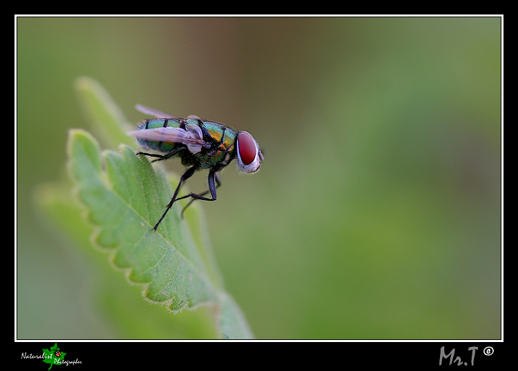 ...Al blocco di partenza...