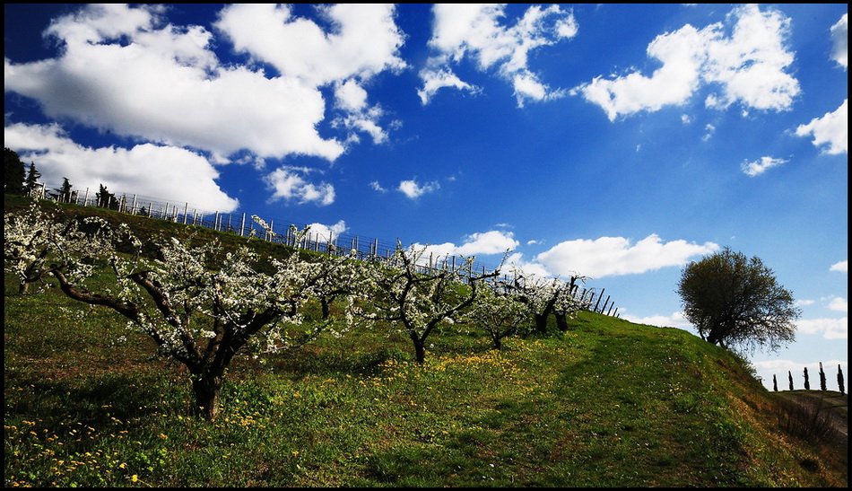 ..quest'inverno passer�....