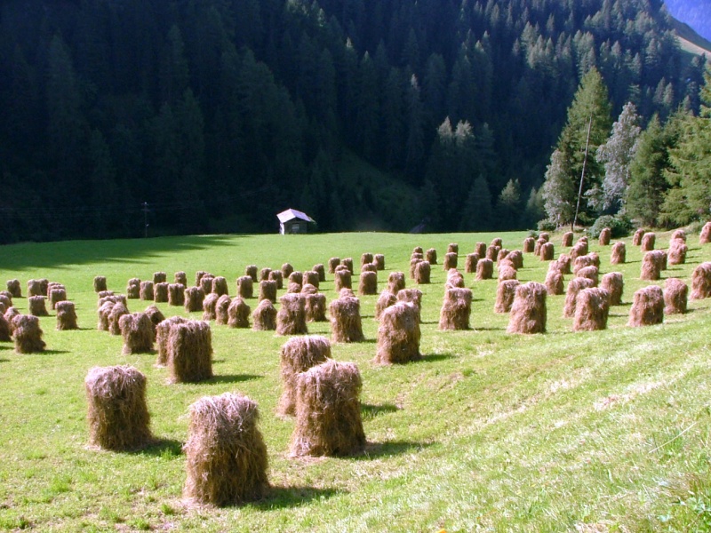 sotto questo sole...