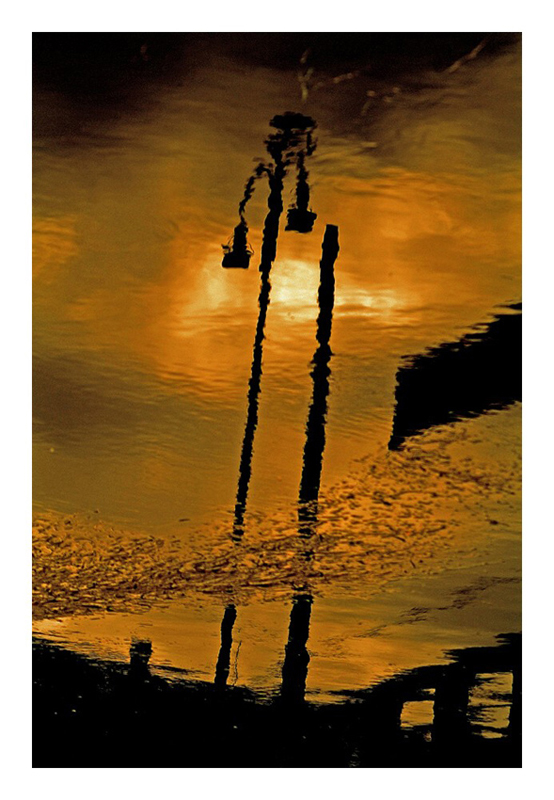 Riflessi dorati, luce oscurata, nero diffuso