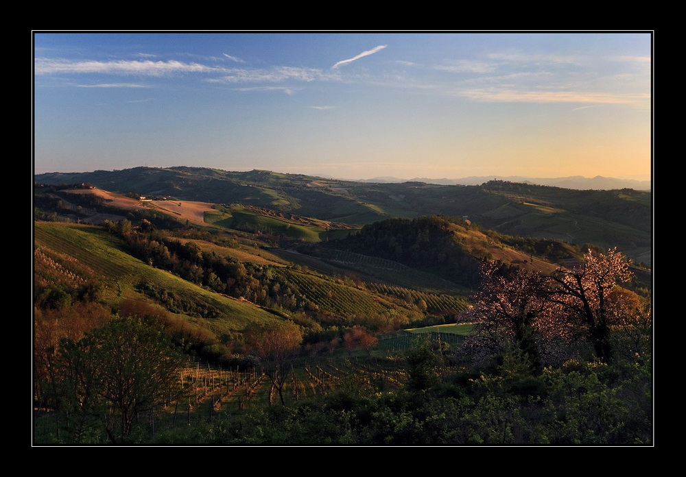 Ricordo di primavera...