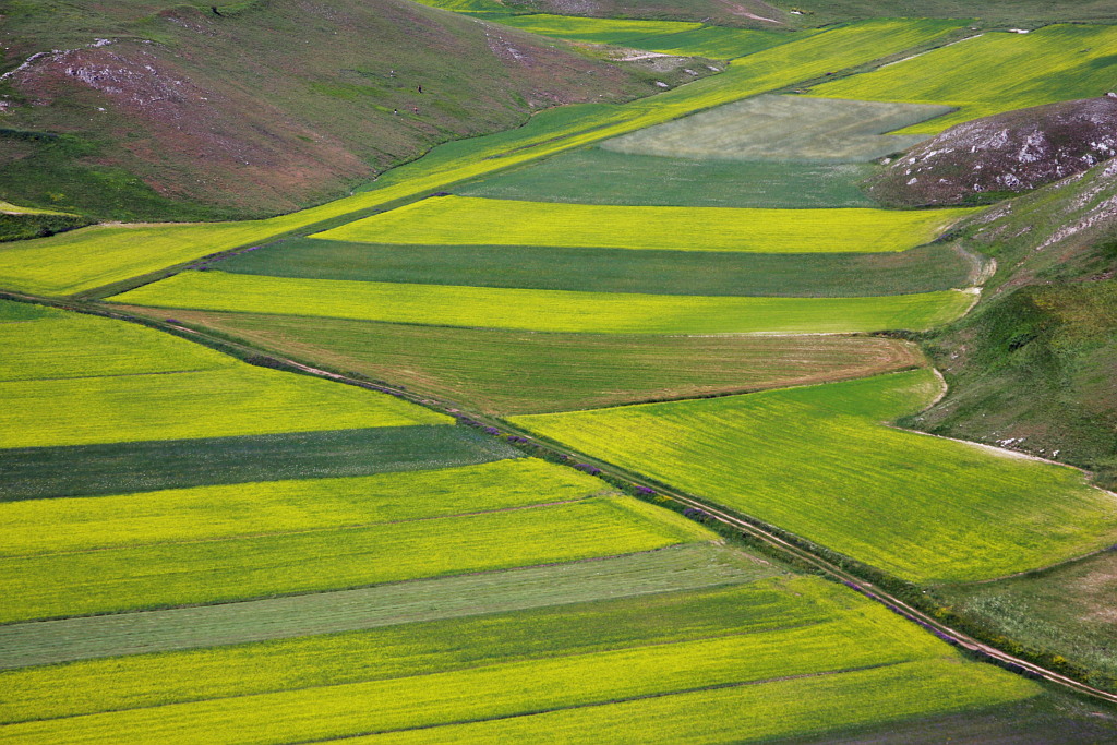 Castelluccio Di Norcia