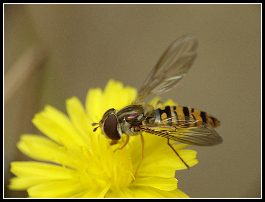L'ora della pappa!!!