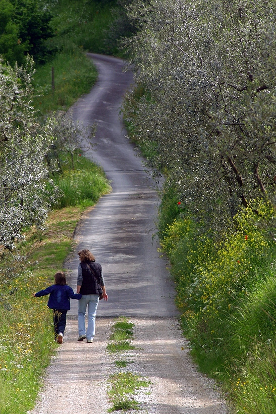 Che bello passeggiare in primavera