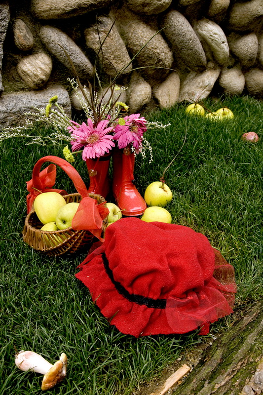 il lupo � gi� passato