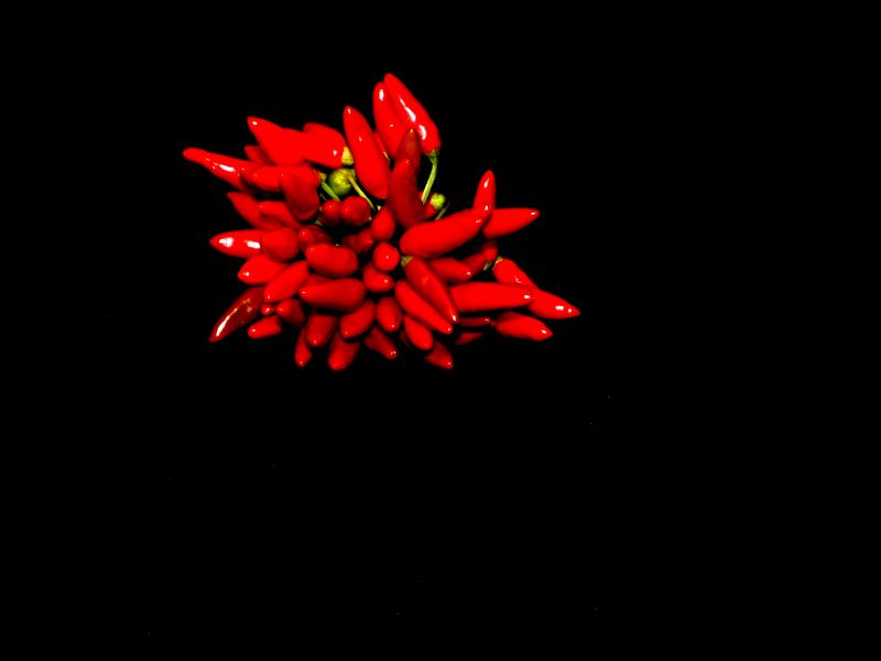 red-hot-chili-peppers....parte 2