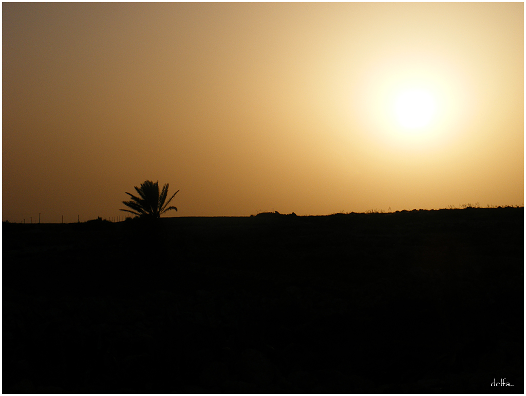 AVAMPOSTO D'ITALIA..