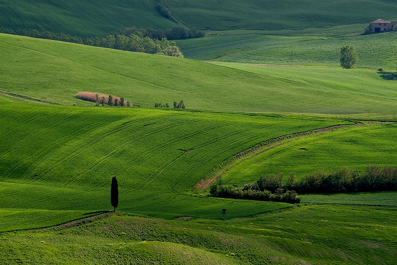 Val d'Orcia