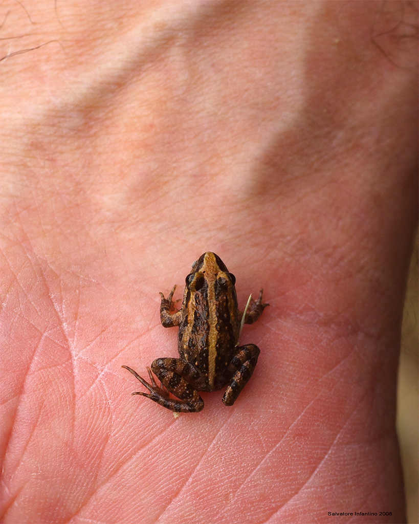 Sono stato aggredito e mi sono difeso !!!