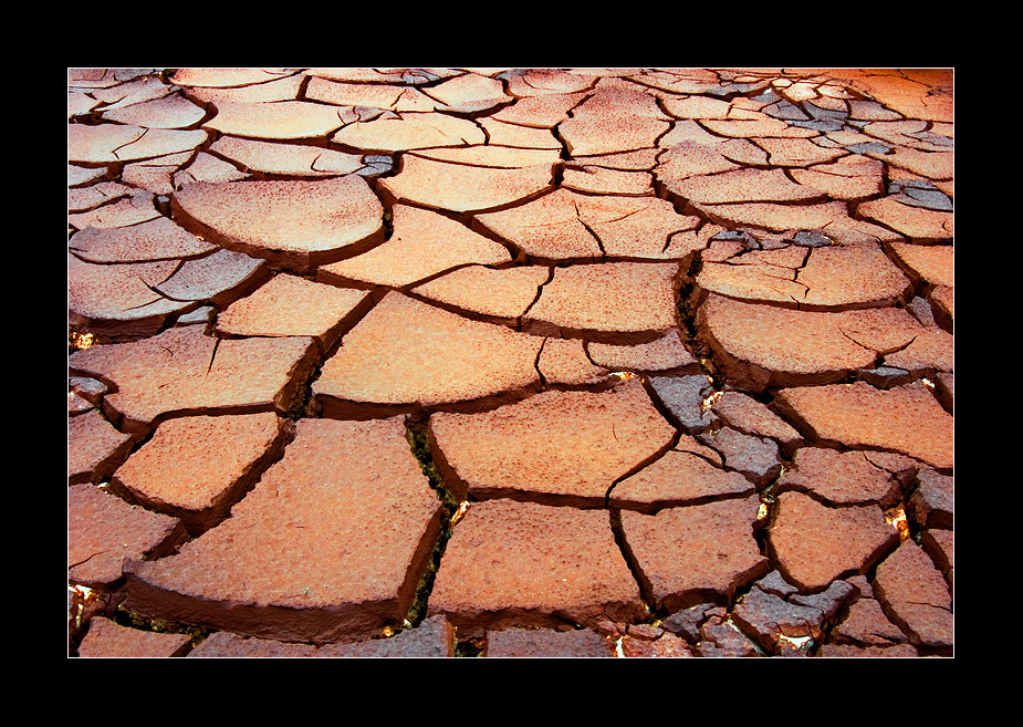 The earth's skin puzzle